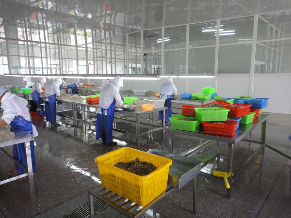 生產(chǎn)車(chē)間-001