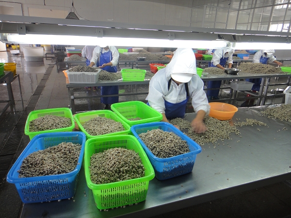 生產(chǎn)車(chē)間-002